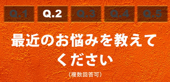 Q2最近のお悩みを教えてください